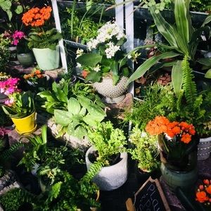 Meet your Posher, Coline